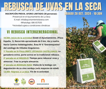 ImagenVI REBUSCA DE UVAS EN LA SECA